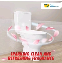 Flipkart Supermart Disinfectant Original Liquid Toilet Cleaner (2 x 1 L)
