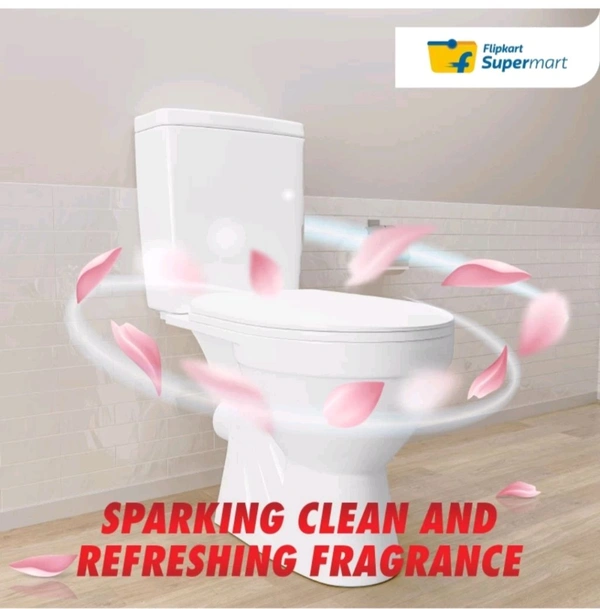 Flipkart Supermart Disinfectant Original Liquid Toilet Cleaner (2 x 1 L)