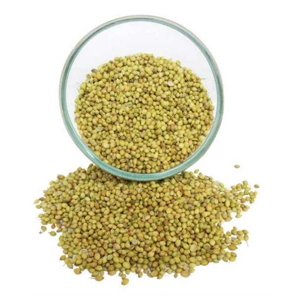 Sabut Dhaniya (Coriander Whole) - 500 gm