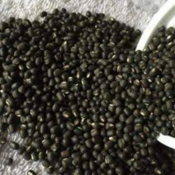 Urad - 1 kg