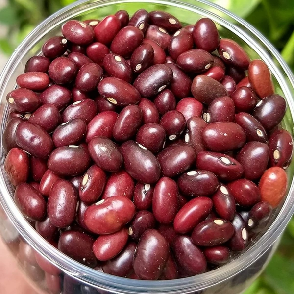 Rajma( राजमा)  - 1 kg