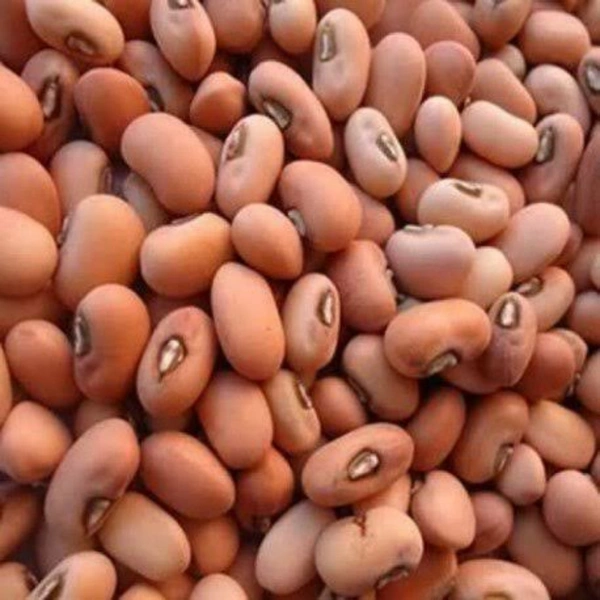 Lobia Lal - 500 gm