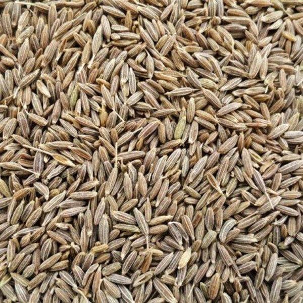 Jeera (Cumin Seeds) - 500 gm