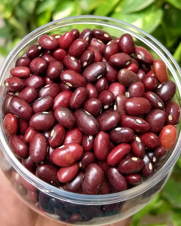 Rajma - 100 gm