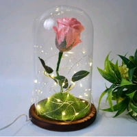 Glass Flower with Led Light Great Gift