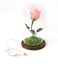 Glass Flower with Led Light Great Gift