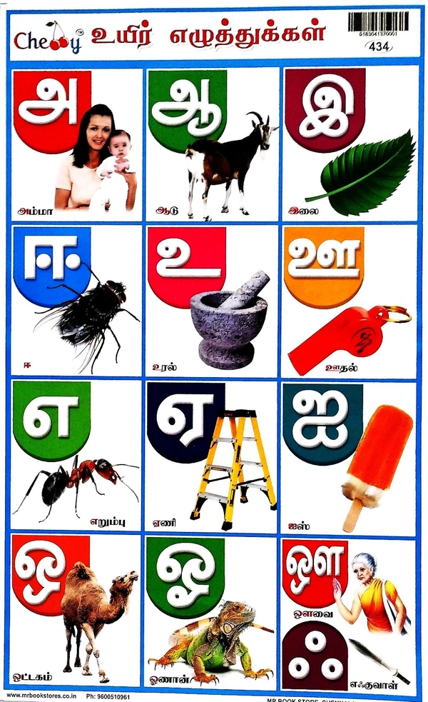 School Picture Charts  School Picture Chart All Mixed   (10 pcs ). 1 pkt
