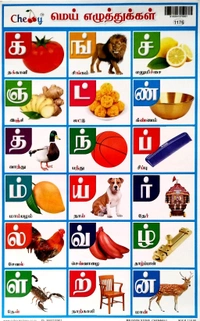 School Picture Charts  School Picture Chart All Mixed   (10 pcs ). 1 pkt