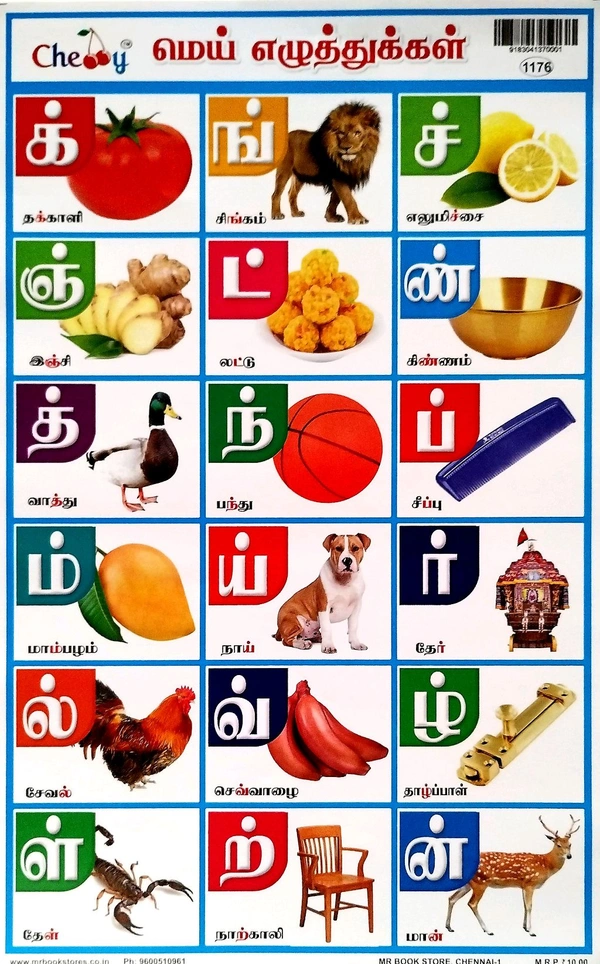 School Picture Charts  School Picture Chart All Mixed   (10 pcs ). 1 pkt
