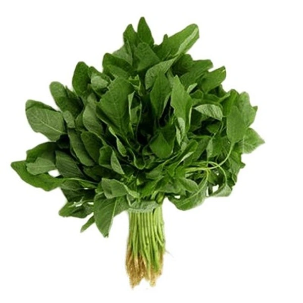 Cheera / spinach 1 Bunch - Green