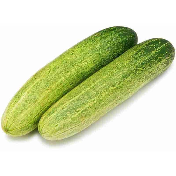 Salad Cucumber 500gm
