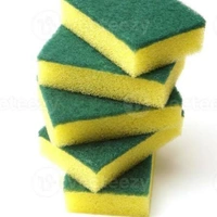 2 in 1 Scrubber