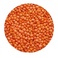 SAMPOORNA MASOOR DAL - 500GM