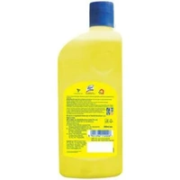 LIZOL SURFACE CLEANER CITRUS - 500ML