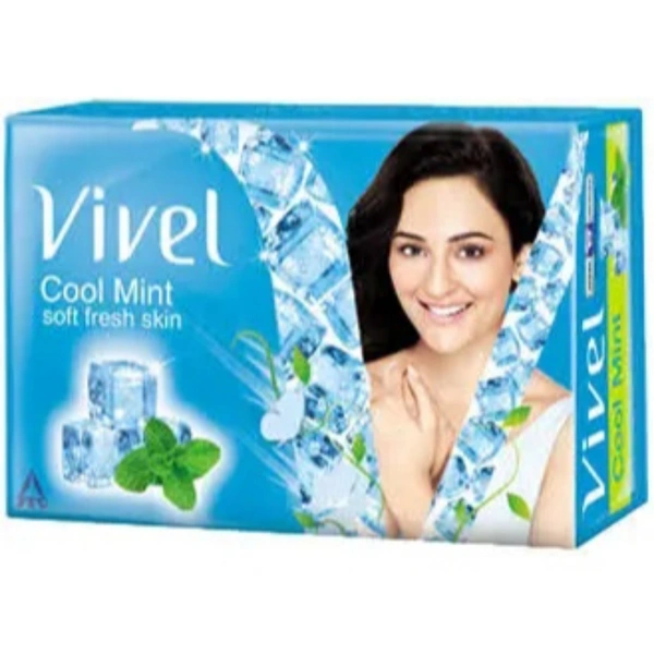 VIVEL COOL MINT 100G (NEW PRICE ) - 100GM
