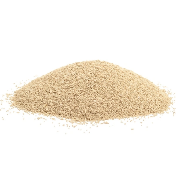 REAL FOODS INSTANT YEAST - 