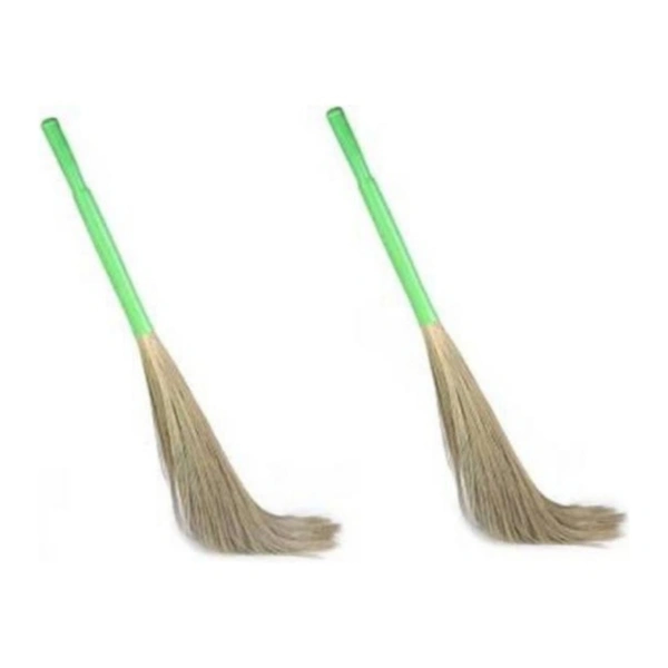 BROOMS BULBUL