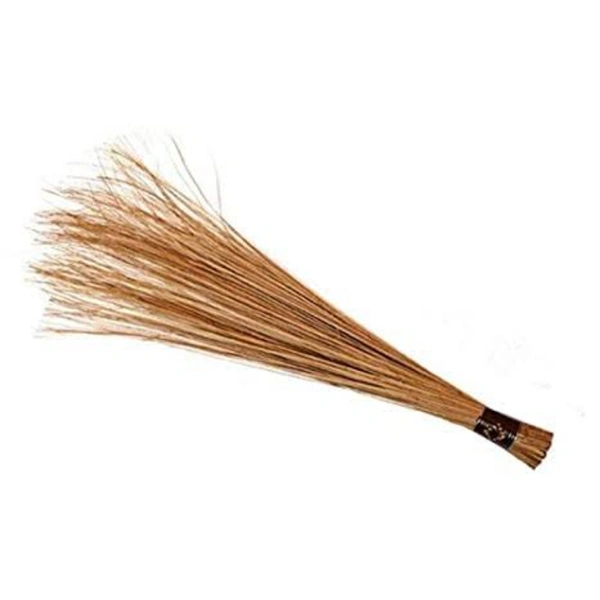 KERALA BROOM