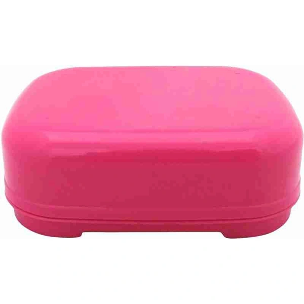 CAMEL SOAP CASE