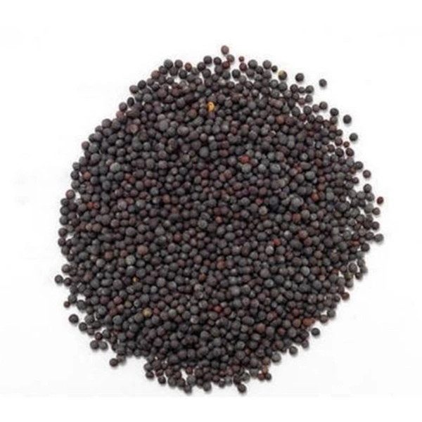 VISHWAS MUSTARD KADUK - 100GM