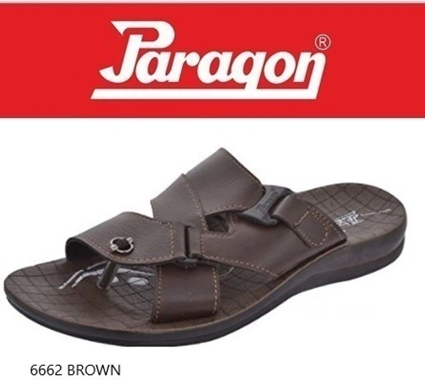 PARAGON 6662 G BROWN - '11-12, BROWN, 429