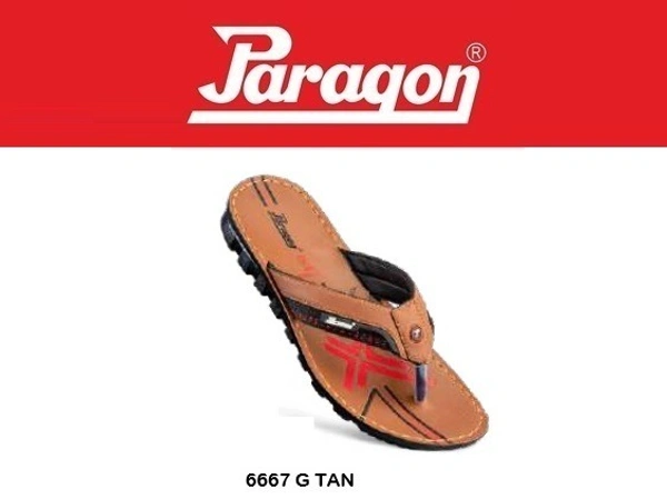 PARAGON 6667 G TAN - '11-12, TAN, 329