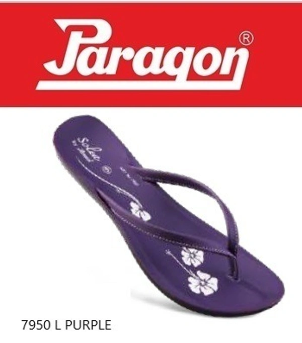 PARAGON 7950 L PURPLE - 204, '5-8, PURPLE