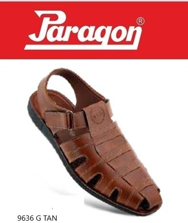PARAGON 9636 G TAN - 579, '11-12, TAN