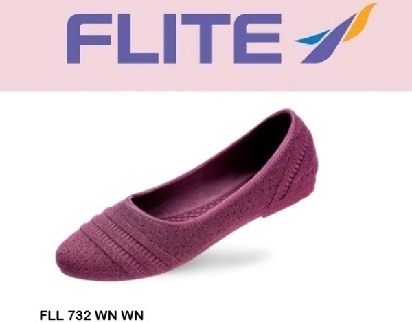 FLITE FLL 732 L WN WN - 289.5, '5-8, WN WN
