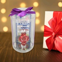 Lovely Rose Gift Showpiece, Love showpiece Valentine's Day Gift, Cute Anniversary, Wedding, Birthday, Boyfriend, Husband Romantic Unique Gift Set, Home Decoration Gift Set (1 Pc)