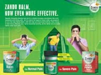 Zandu Balm 8Gm