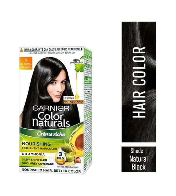 Garnier Natural Black 65gm