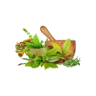 Ayurvedic Products