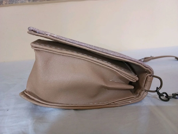 Logu's  Trendy Designer Glitter Cross Body Handbag For Women  - Peach