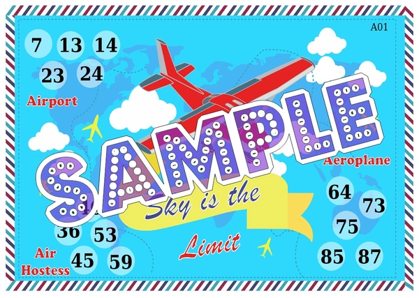 perty Aeroplane theme Tambola Housie (list1095_1) - 24