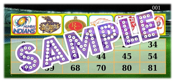perty Cricket theme Tambola Housie (list2534_1) - 72