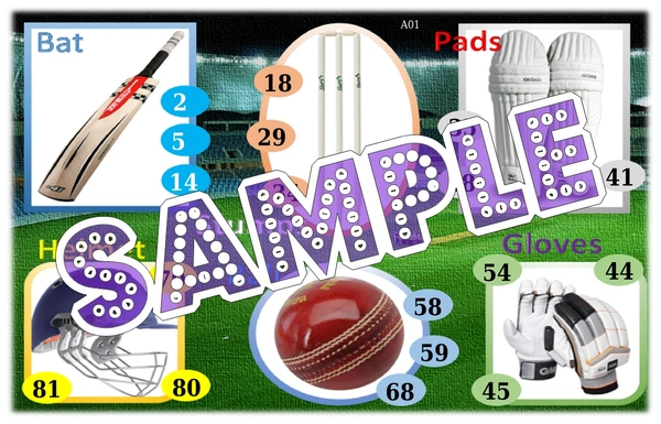 perty Cricket theme Tambola Housie (list397_2) - 12