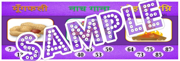 perty Lohri theme Tambola Housie (list2935_1) - 24