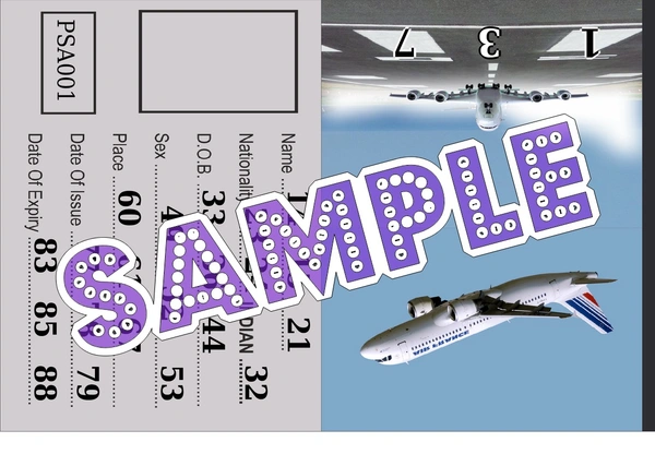perty Passport theme Tambola Housie (list1402_1) - 36