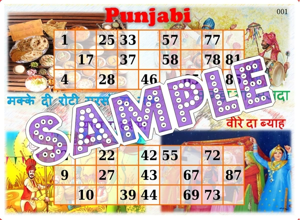 perty Punjab theme Tambola Housie (list1105_1) - 16