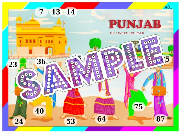 perty Punjab theme Tambola Housie (list1161_1) - 48