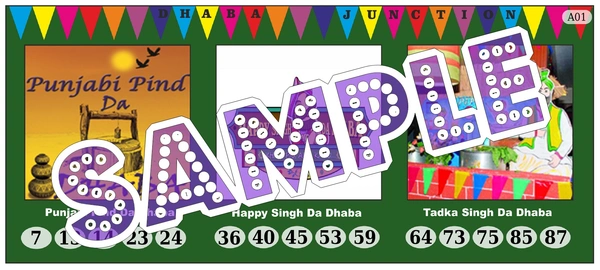 perty Punjab theme Tambola Housie (list1406_1) - 18