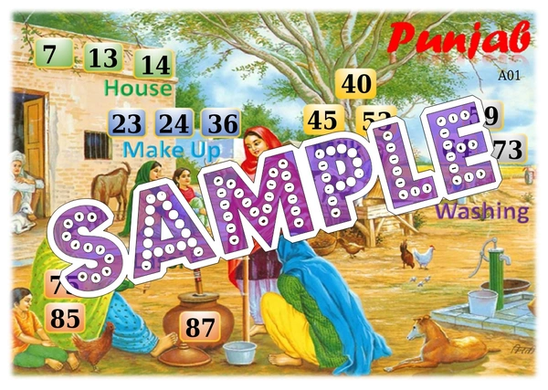 perty Punjab theme Tambola Housie (list381_3) - 48