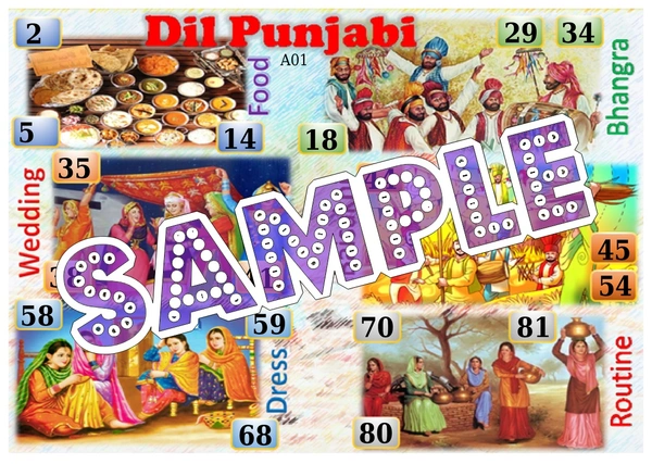 perty Punjab theme Tambola Housie (list382_3) - 24