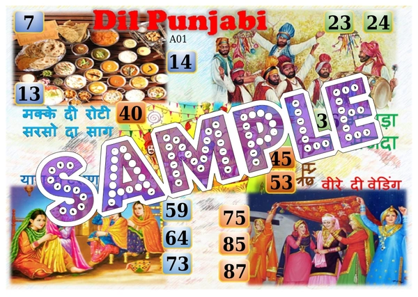 perty Punjab theme Tambola Housie (list566_3) - 16