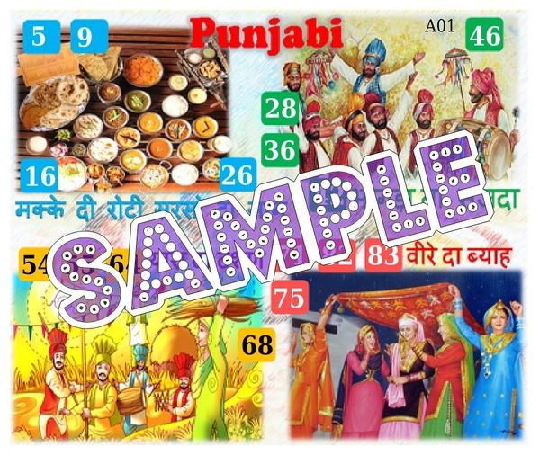perty Punjab theme Tambola Housie (list567_1) - 72