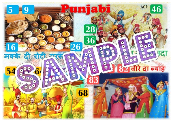 perty Punjab theme Tambola Housie (list567_2) - 16