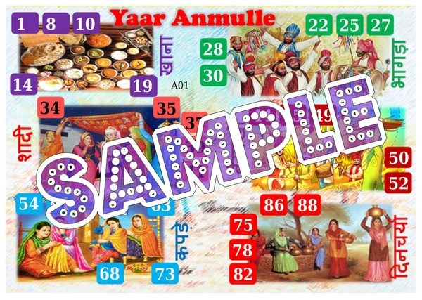 perty Punjab theme Tambola Housie (list585_2) - 48