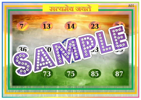 perty Republic Day theme Tambola Housie (list2884_2) - 24