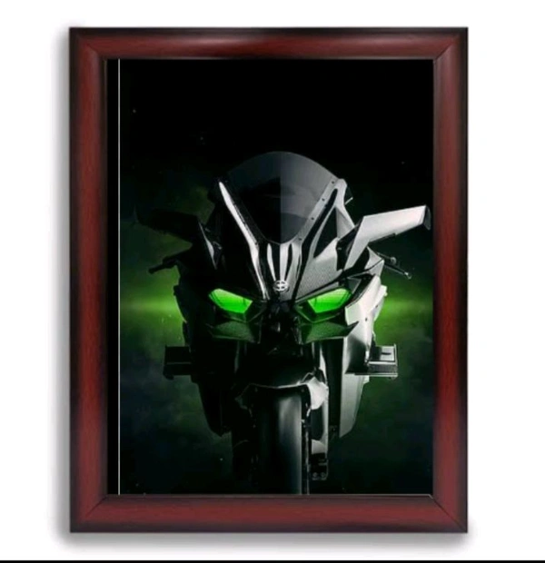 Ninja H2r Bike Frame